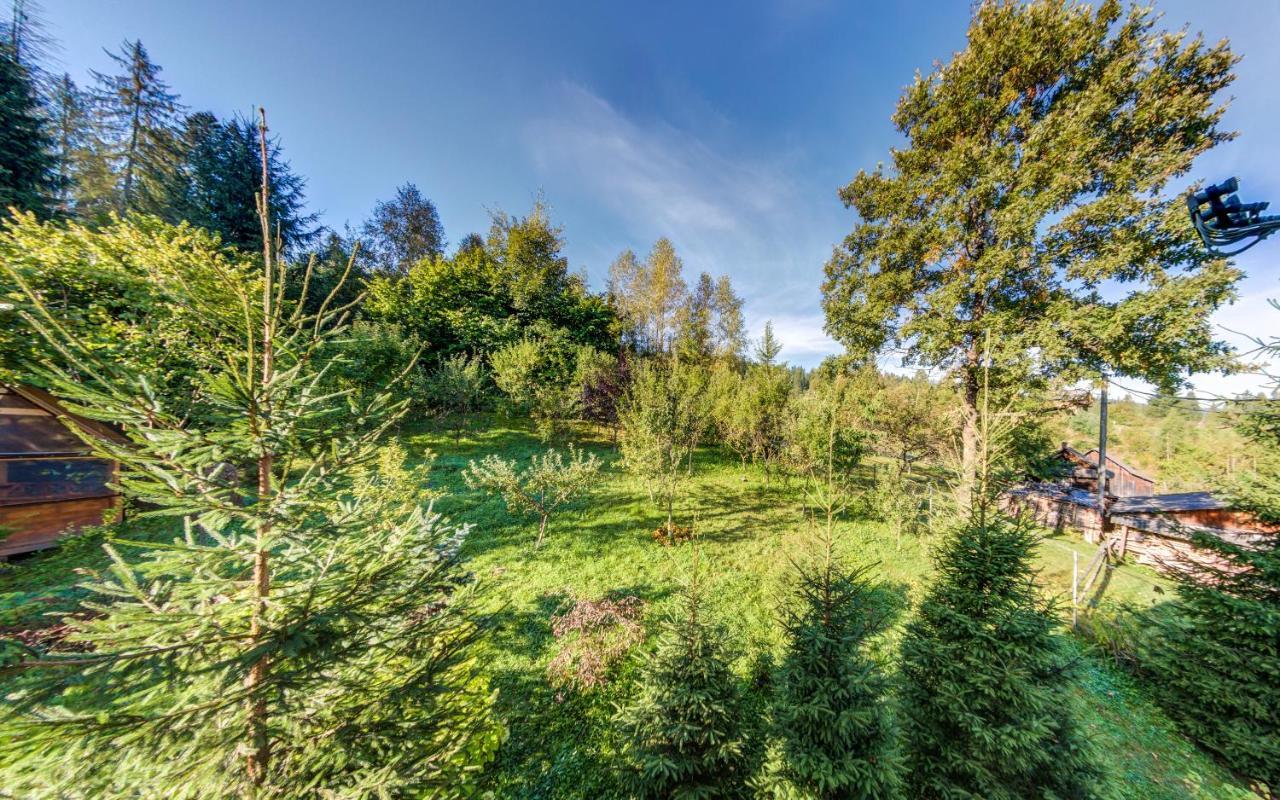 Karpatska Villa Mykulyčyn Exteriér fotografie