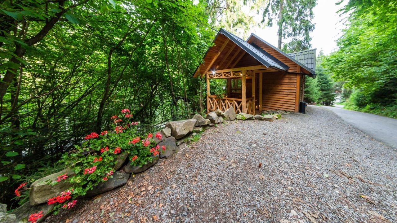 Karpatska Villa Mykulyčyn Exteriér fotografie
